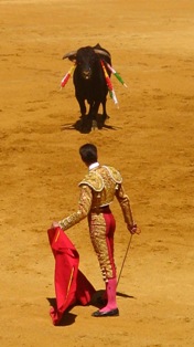 Bull - el toro!